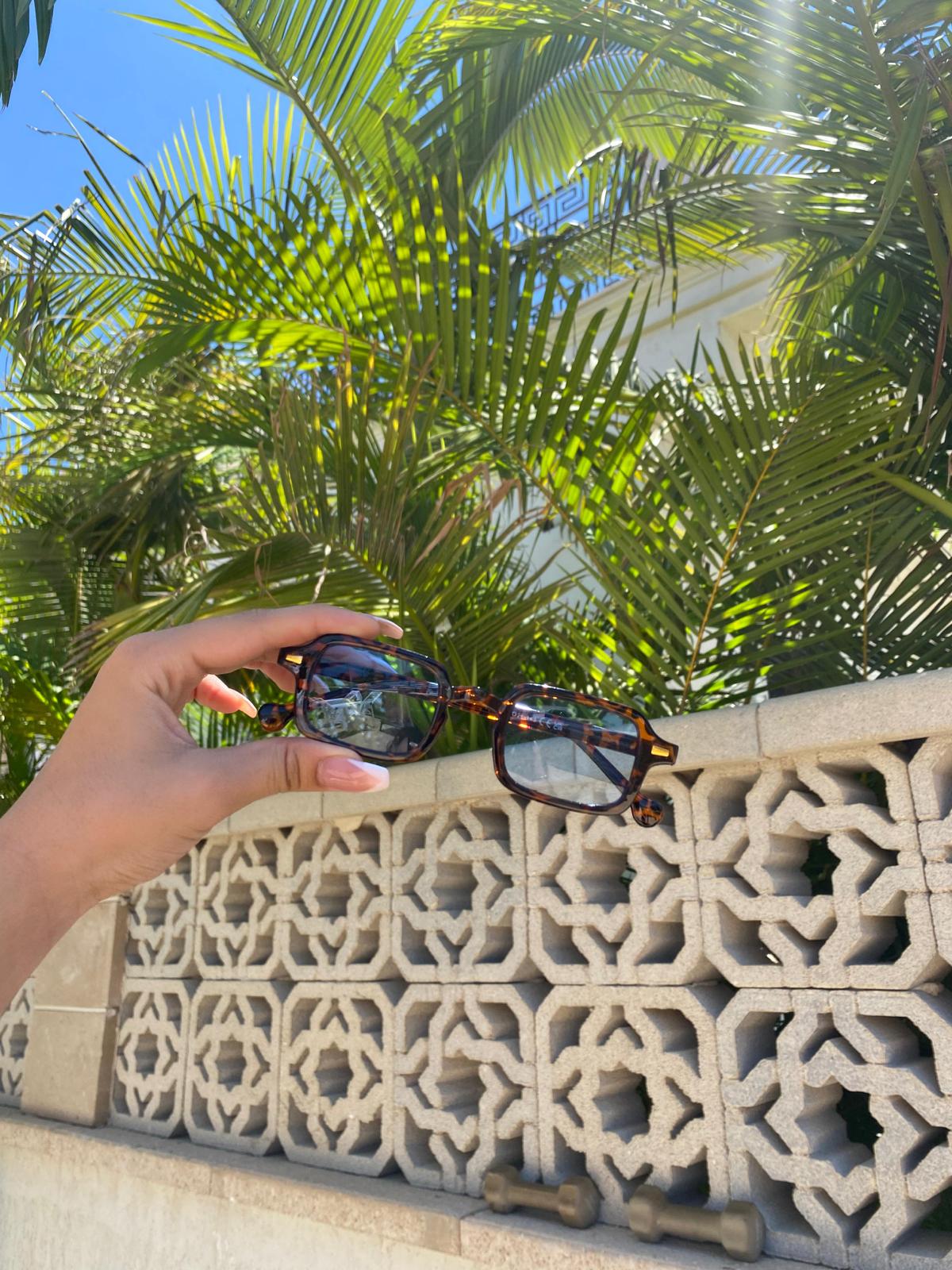 מונאקו מנומר כחול