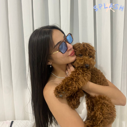 משקפי שמש בלו מנומר